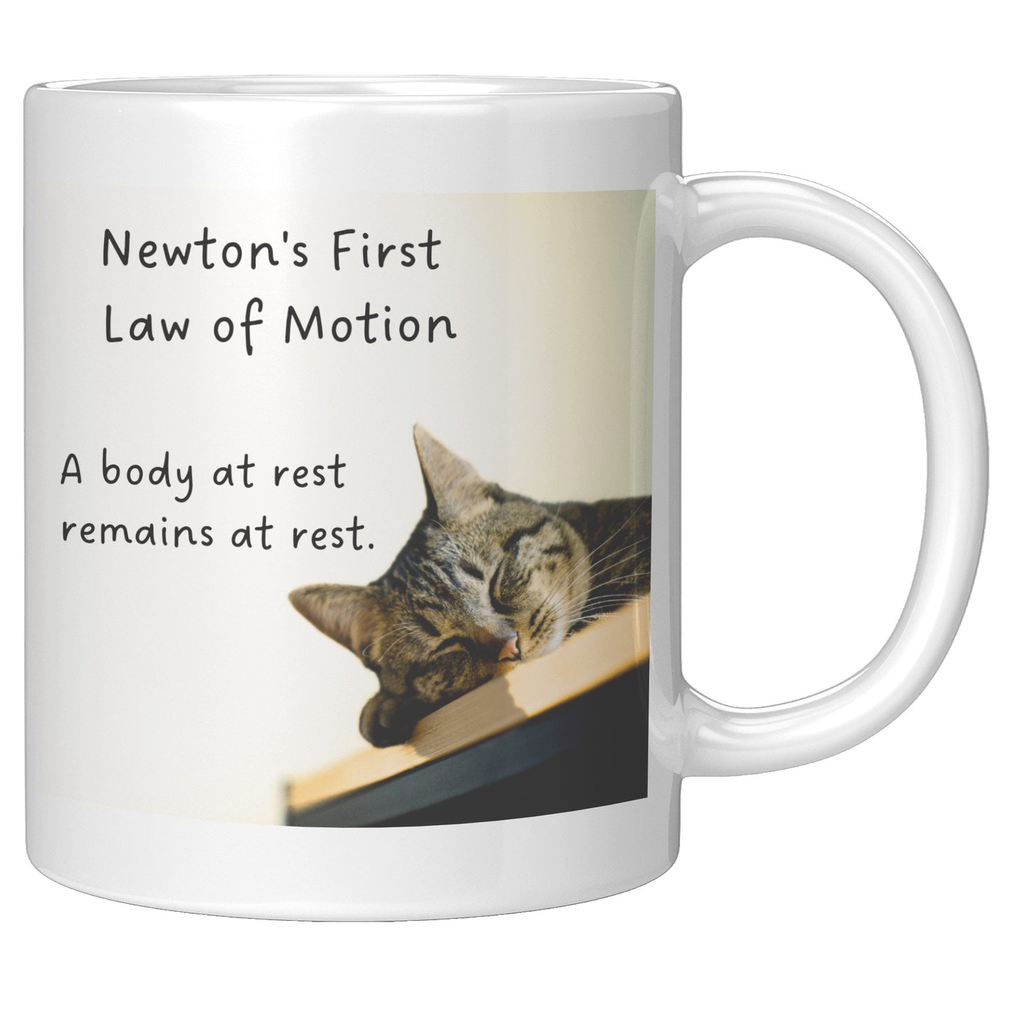 Newton's First Law of Motion