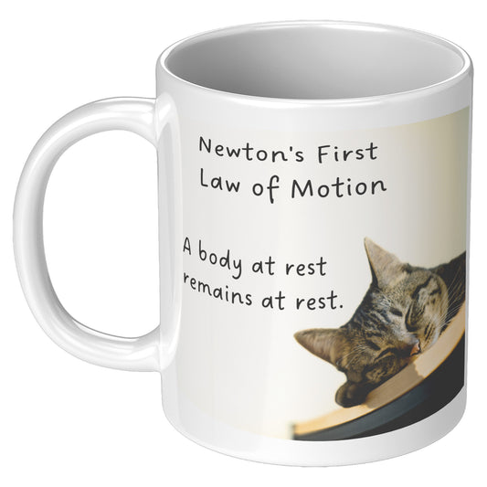 Newton's First Law of Motion